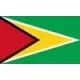 Logo Guyana