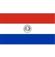 Logo Paraguay