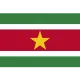 Logo Suriname